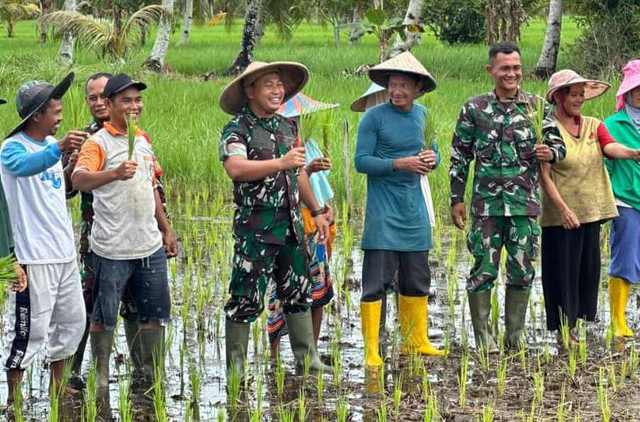 Dandim Mempawah menanam padi bersama petani. Foto: Dok. Pendim Mempawah