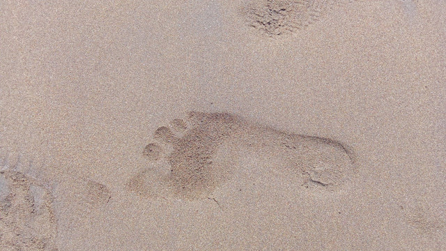 Ilustrasi telapak kaki di pantai. Foto: Shutterstock