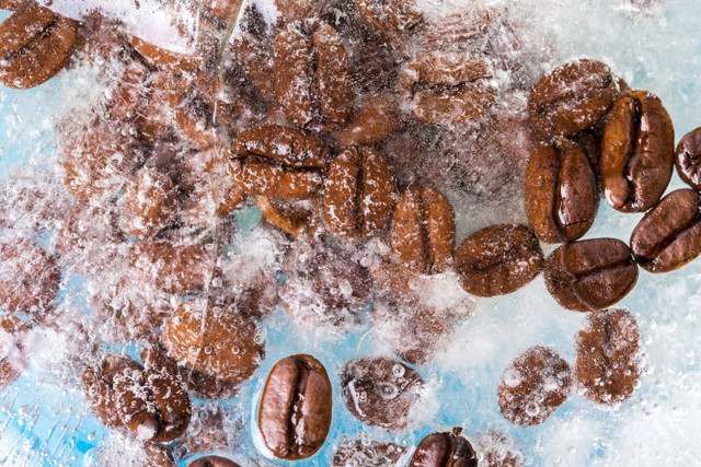 Ilustrasi biji kopi beku. Foto: Shutterstock