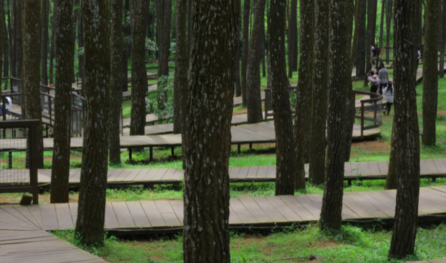 Camping Sentul Eco Edu. Foto hanya ilustrasi bukan tempat sebenarnya. Sumber: Unsplash/Ahmad Fatikh