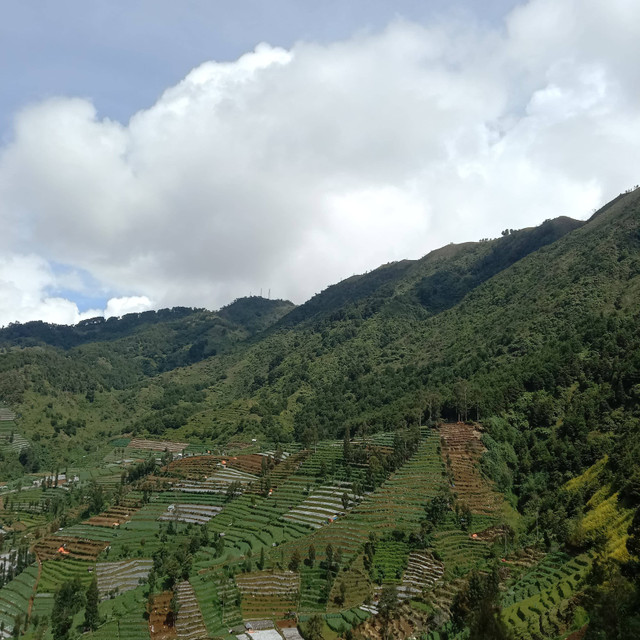 pemadangan dari penggunungan prau, dokumentasi pribadi Moh. Ainul Yakin