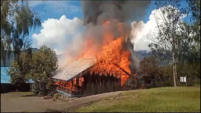 SD yang dibakar KKB Papua. 