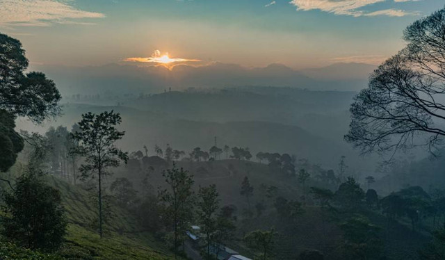 tiket Taman Langit Pangalengan 2024. Foto hanyalah ilustrasi bukan tempat sebenarnya. Sumber: Unsplash/Hanandito Adi