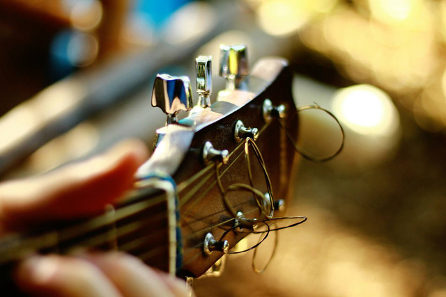 Ilustrasi senar gitar. Sumber foto: Unsplash