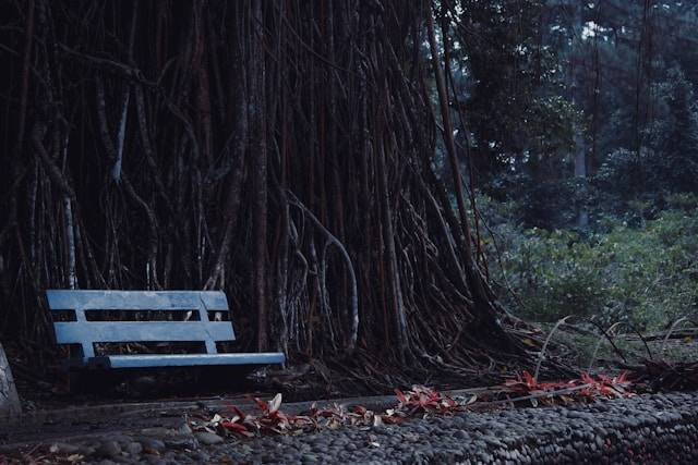 Wisata dekat Istana Bogor. Sumber: Unsplash/Mass Much