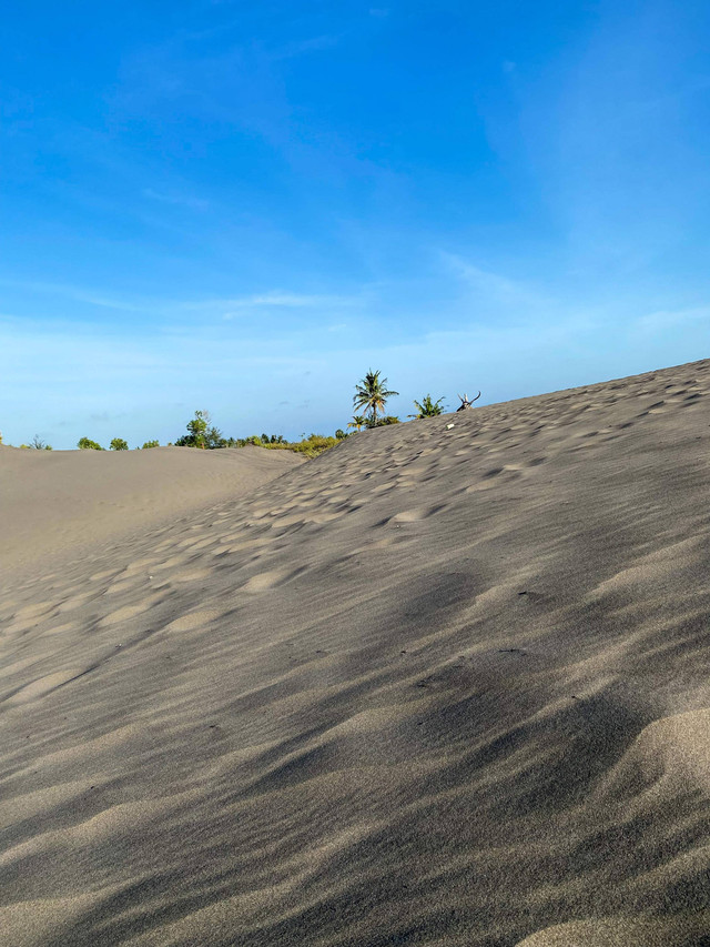 Gumuk Pasir Parangtritis di Yogyakarta. Foto: It's Widia/Shutterstock