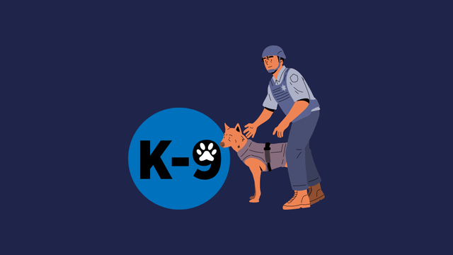 Ilustrasi K-9/ Canva