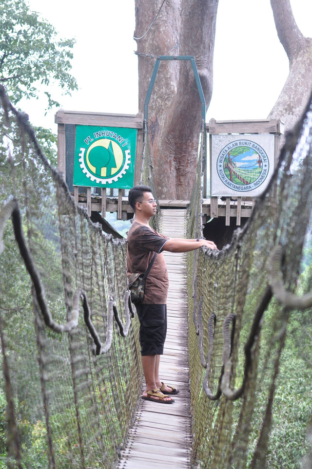 Bukit Bangkirai Foto: chirebon99/Shutterstock