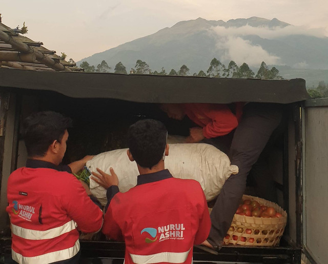 Masjid Nurul Ashri memborong sayuran dari petani di Magelang untuk dibagikan gratis saat harga anjlok. Foto: Dok. Istimewa