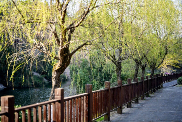 Rikugien Garden. Foto hanya ilustrasi, bukan yang sebenarnya. Sumber: Pexels/shaosong sun