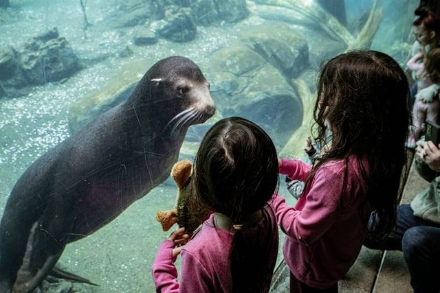 Henry Doorly Zoo Omaha (Foto hanya ilustrasi, bukan tempat sebenarnya) Sumber: unsplash/ Alan Rodriguez