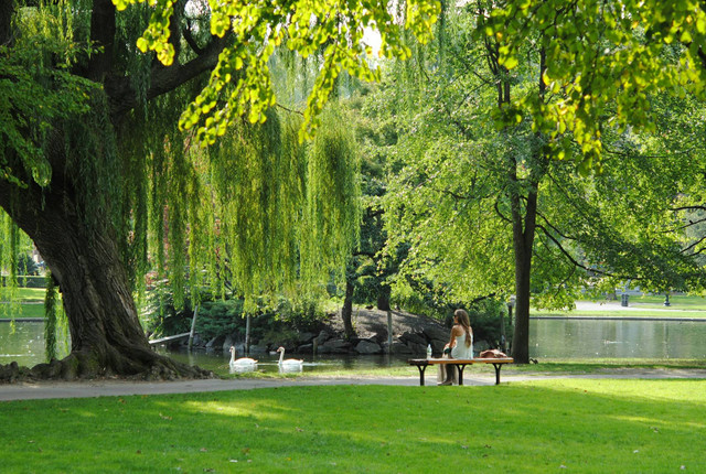 Cara ke Taman Situ Lembang. Foto hanya ilustrasi bukan tempat sebenarnya. Sumber foto: Unplash/Josephine Baran