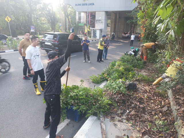 Sekda Kota Palembang, Ratu Dewa, saat memimpin gotong royong membersihkan tanaman di trotoar jalan. (ist)