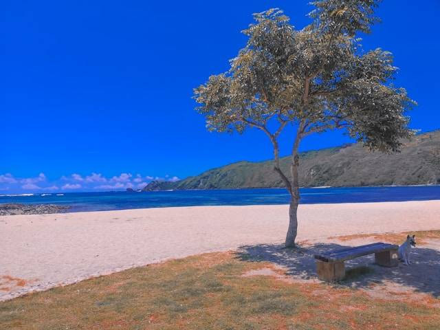 Pantai di Lombok Tengah. Sumber: Unsplash/Saepul Jr