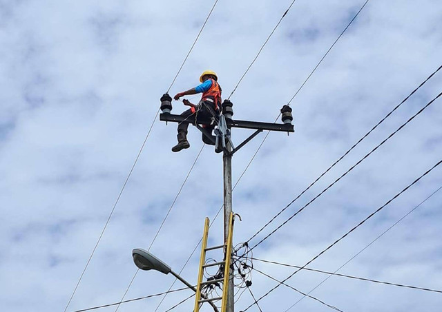 Petugas PLN sedang melakukan pemeliharaan pada Jaringan Tegangan Menengah (JTM) di wilayah Bengkayang. Foto: Dok. PLN Kalbar