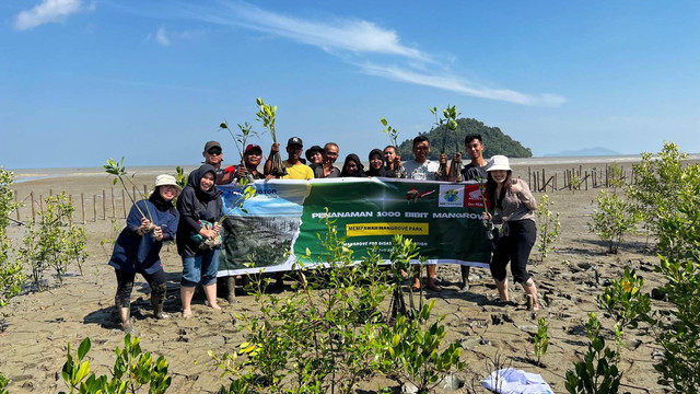 Asmo Kalbar melakukan penanaman 1.000 bibit mangrove. Foto: Dok. Astra Motor Kalbar