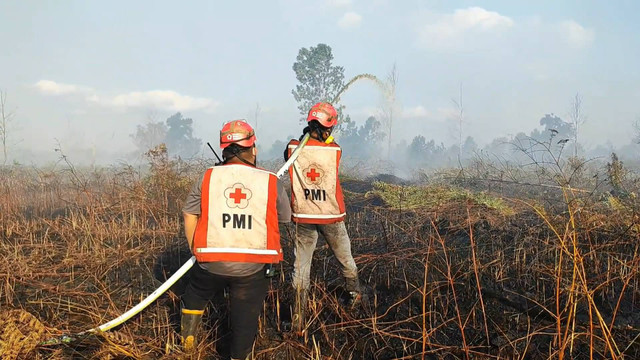 Petugas berjibaku memadamkan api kebakaran lahan di Kubu Raya. Foto: Dok. Istimewa