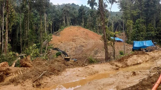 Suasana penambangan emas ilegal di wilayah Gunung Peaka, Desa Tambarana, Kecamatan Poso Pesisir Utara, Kabupaten Poso, Sulawesi Tengah. Foto: Istimewa