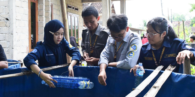 Mahasiswa KKNT IPB Ubah Potensi Desa di Lampung Jadi Produk Unggulan Akuaponik