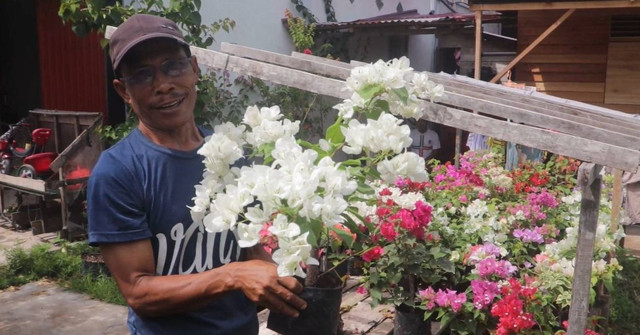 Warga Mempawah ini sukses jualan Bougenville. Foto: M. Zain/Hi!Pontianak