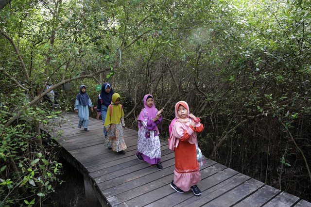 Kebun Raya Mangrove Surabaya. Foto: Diskominfo Surabaya