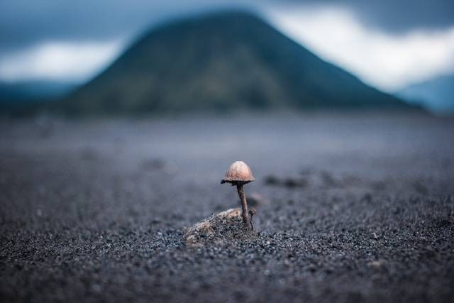 Daya Tarik Bledug Kuwu. Foto hanya ilustrasi bukan tempat sebenarnya. Sumber foto: Unsplash.com/Andreas Wagner