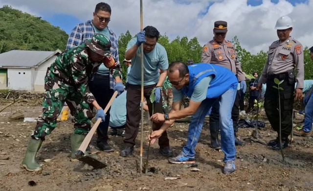 PLN NP Services saat menanam mangrove di pesisir pantai Konawe.