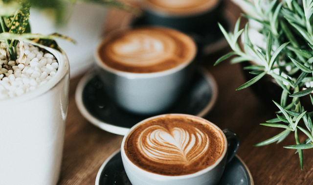 Kopi Tubing Sentul, foto hanya ilutrasi bukan tempat sebenarnya. Sumber: Unsplash/Nathan Dumlao