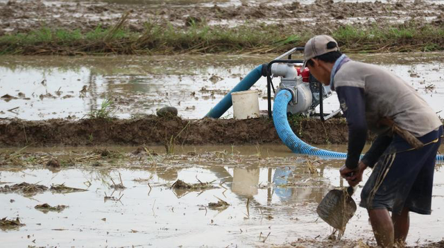 Ilustrasi pompanisasi lahan sawah. Foto: Dok. Kementan