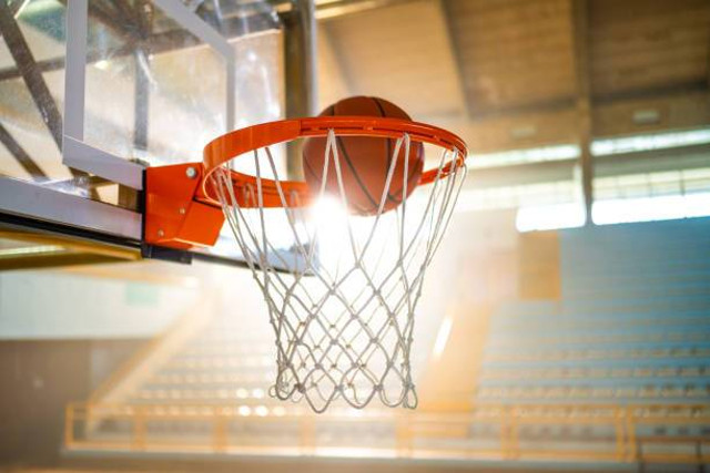 Ilustrasi Tuliskan Secara Singkat Tentang Induk Organisasi Bola Basket Di Indonesia, Foto: Unsplash/simonkr.