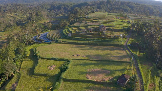 Desa Angseri, Kecamatan Baturiti, Kabupaten Tabanan, Bali yang meraih predikat Desa dengan Tata Kelola Terbaik di ajang Nugraha Karya Desa BRILiaN 2023. Foto: Dok. BRI