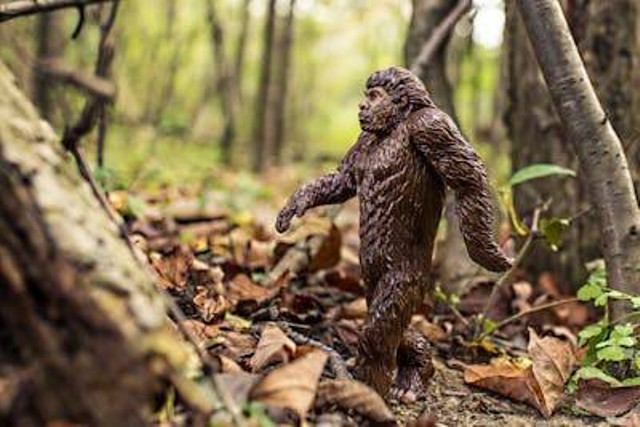 Ilustrasi bigfoot adalah. Foto: Pexels