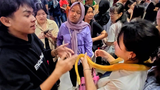 Antusiasme pengunjung event Palembang Pet Festival 2024 terlihat sejak dimulainya penyelenggaraan kegiatan yang melibatkan para pecinta hewan Kota Musi, Minggu (28/7) Foto:ary priyanto/urban id