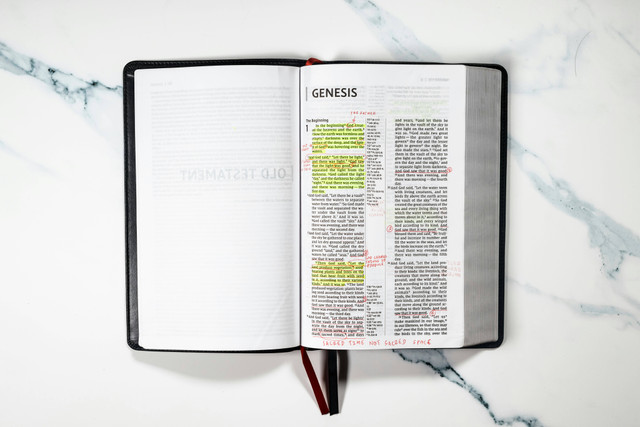 Ilustrasi Contoh Kalimat Intransitif. Foto: Unsplash/Nathan Dumlao