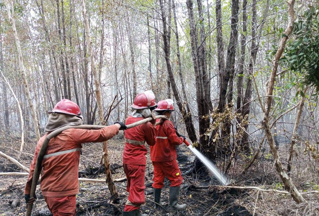 Manggala Agni Daops Sumatera XVI/Lahat saat melakukan pemadaman melalui darat kebakaran di wilayah Pali, Foto : Manggala Agni