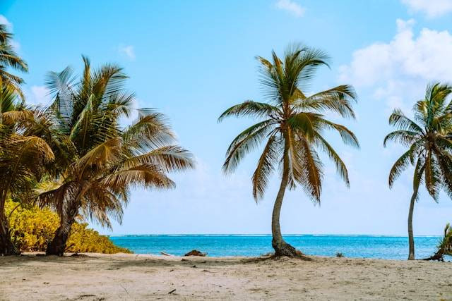 Daya Tarik dan Lokasi Kepulauan Handeuleum. Foto Hanya Ilustrasi Bukan Tempat Sebenarnya. Sumber Foto: Unsplash.com/Fidelia Zheng