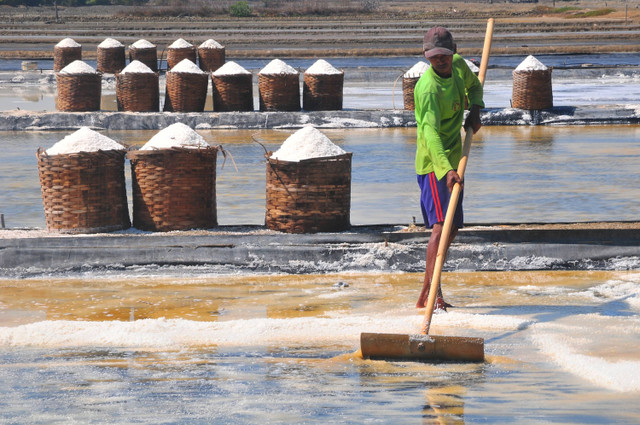 Petani memanen garam di kawasan tambak garam Desa Kedungmalang, Jepara, Jawa Tengah, Selasa (30/7/2024). Foto: Yusuf Nugroho/ANTARA FOTO