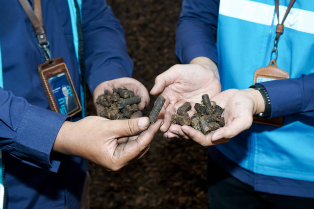 Tandan sawit kosong yang diubah jadi pelet, pengganti batu bara di PLTU Sintang, Kalimantan Barat. 