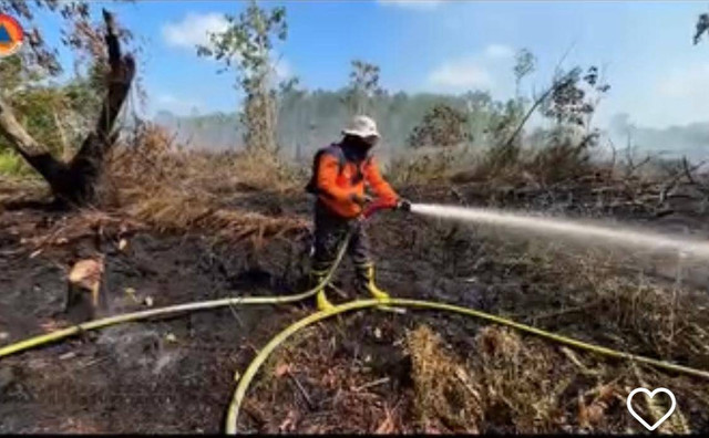 Petugas pemadam sedang memadamkan api di lahan yang terbakar. Foto: Dok. Instagram @bpbdkalbar