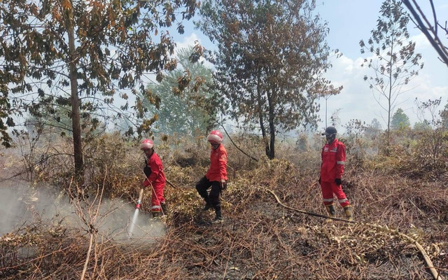 Tim Manggala Agni tengah berupaya memadamkan api yang membakar lahan gambut di wilayah Desa Muara Medak, Kecamatan Bayung Lencir, Sumsel, Foto : Manggala Agni