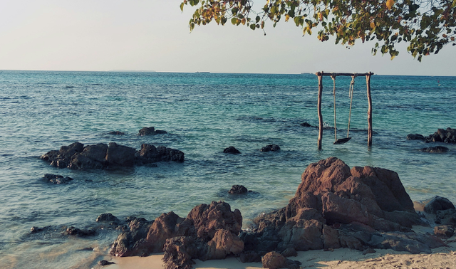 Open Trip Karimunjawa, foto hanya ilustrasi bukan temlat sebenarnya. Sumber: Unsplash/Yohanes Dicky Yuniar