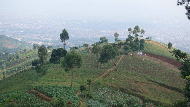 Urban gardening, cara healing di ibukota. (Sumber: Dok. pribadi)