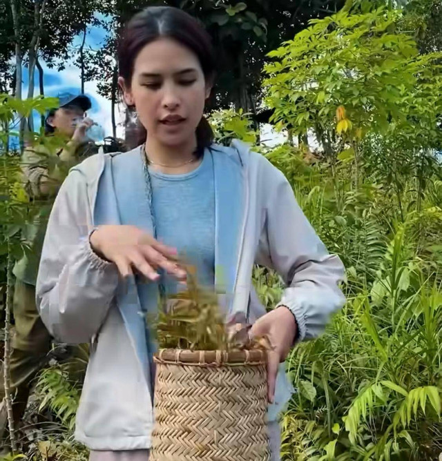 Maudy Ayunda meramban daun pakis di hutan Kapuas Hulu. Foto: Dok. Instagram @fromthisisland 