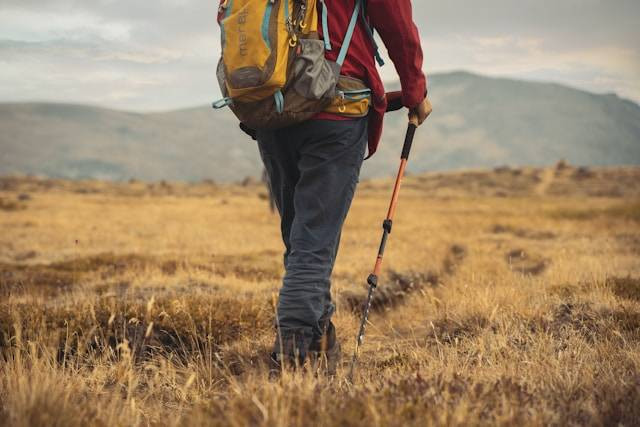 Ilustrasi Rekomendasi Trekking Pole. Foto: dok. Unsplash/Colby Winfield