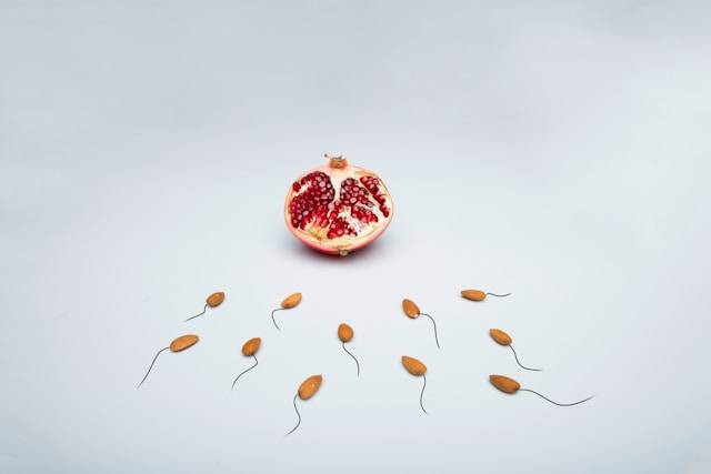 Apakah Hasil Fertilisasi Ovum oleh Sperma. Foto hanya ilustrasi. Sumber foto: Unsplash/Deon