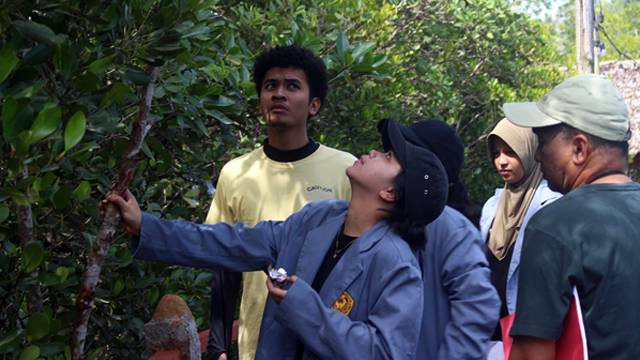 Pelaksanaan identifikasi jenis Mangrove yang dilakukan Tim Program Penguatan Kapasitas Organisasi Kemahasiswaan (PPKO) Hirosi dari Jurusan Biologi, Fakultas Matematika dan Ilmu Pengetahuan Alam (FMIPA) Universitas Sam Ratulangi (Unsrat) Manado, di Ekowisata JG Mangrove Park.