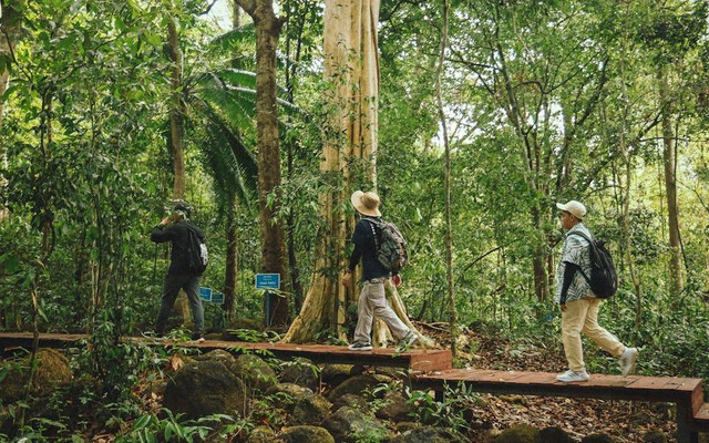 Ilustrasi outfit naik gunung. Sumber: Vietnam Photographer/pexels.com