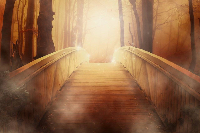 sumber foto : https://pixabay.com/illustrations/bridge-forest-fantasy-trees-light-19513/