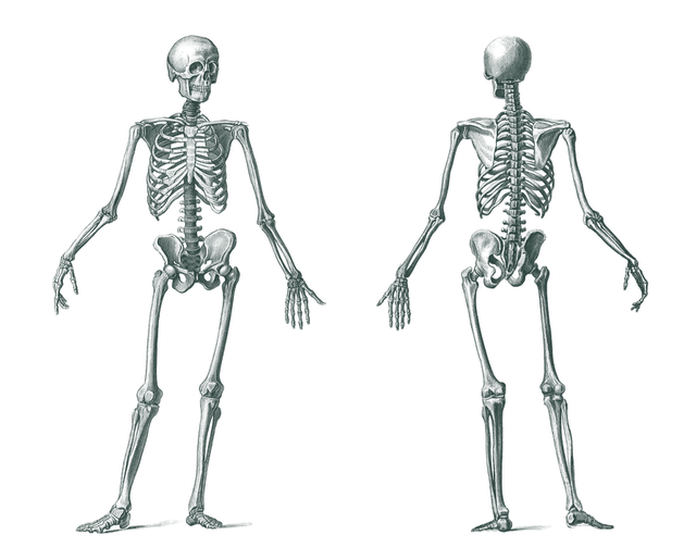 Pengertian Antropologi beserta Manfaatnya dalam Kehidupan | kumparan.com