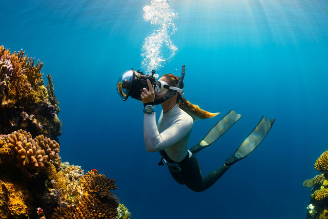 Spot diving di Banyuwangi. Foto hanya ilustrasi, bukan tempat sebenarnya. Sumber: Unsplash/ neom. 